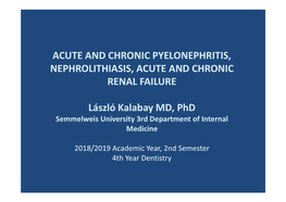Acute and Chronic Pyelonephritis, Nephrolithiasis, Acute and Chronic Renal Failure