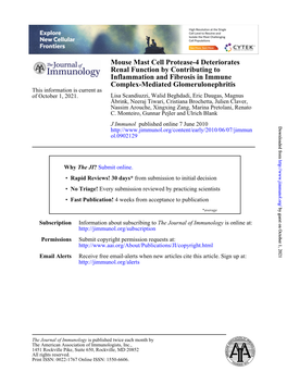 Complex-Mediated Glomerulonephritis Inflammation