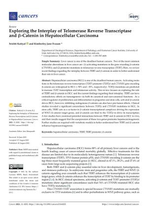 Exploring the Interplay of Telomerase Reverse Transcriptase and Β-Catenin in Hepatocellular Carcinoma