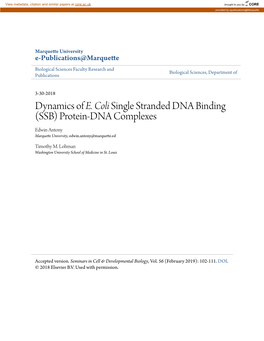 Single Stranded DNA Binding (SSB) Protein-DNA Complexes Edwin Antony Marquette University, Edwin.Antony@Marquette.Ed