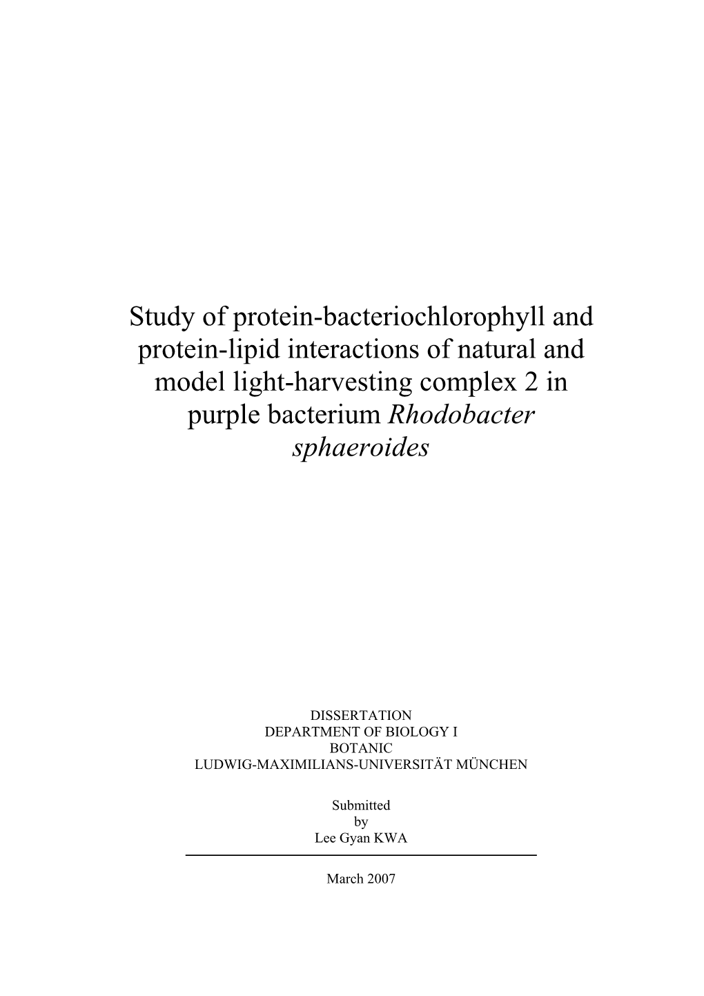 Study of Protein-Bacteriochlorophyll and Protein-Lipid Interactions of Natural and Model Light-Harvesting Complex 2 in Purple Bacterium Rhodobacter Sphaeroides