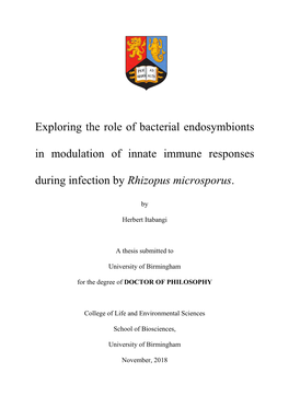 Exploring the Role of Bacterial Endosymbionts in Modulation of Innate Immune Responses During Infection by Rhizopus Microsporus