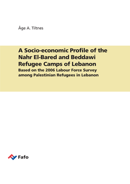A Socio-Economic Profile of the Nahr El-Bared and Beddawi Refugee Camps of Lebanon Based on the 2006 Labour Force Survey Among Palestinian Refugees in Lebanon