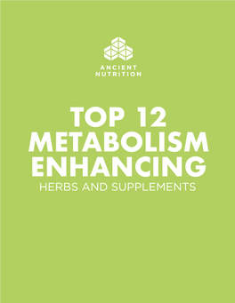Top 12 Metabolism Enhancing Herbs and Supplements Matcha 1 Green Tea