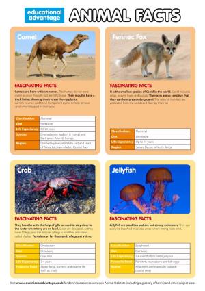 Animal Facts Guide
