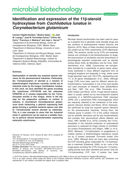 Identification and Expression of the 11Β‐Steroid Hydroxylase From