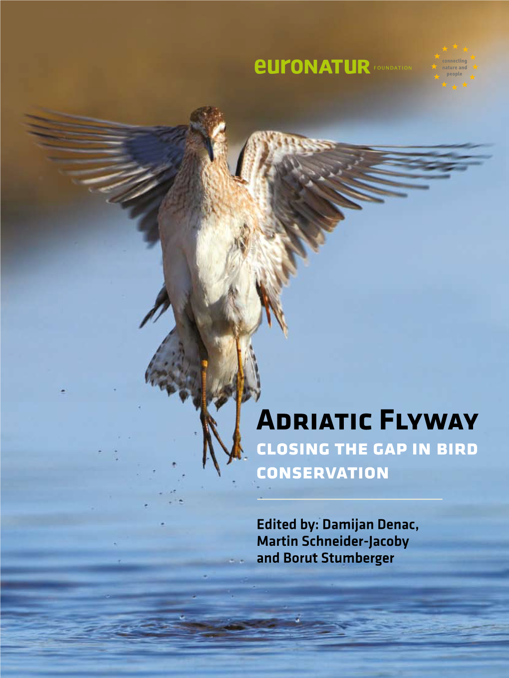 Adriatic Flyway – Closing the Gap in Bird Conservation Preface