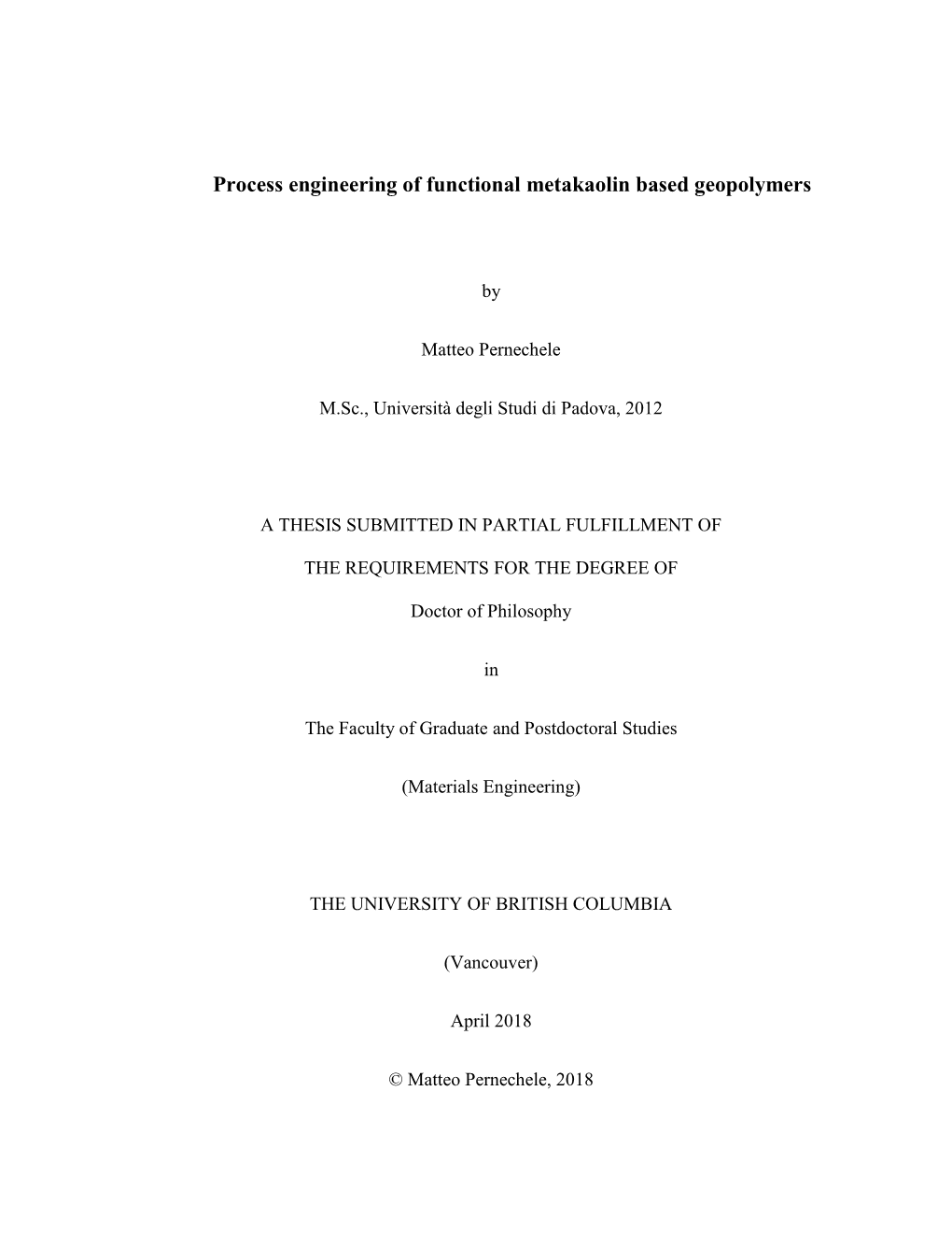 Process Engineering of Functional Metakaolin Based Geopolymers