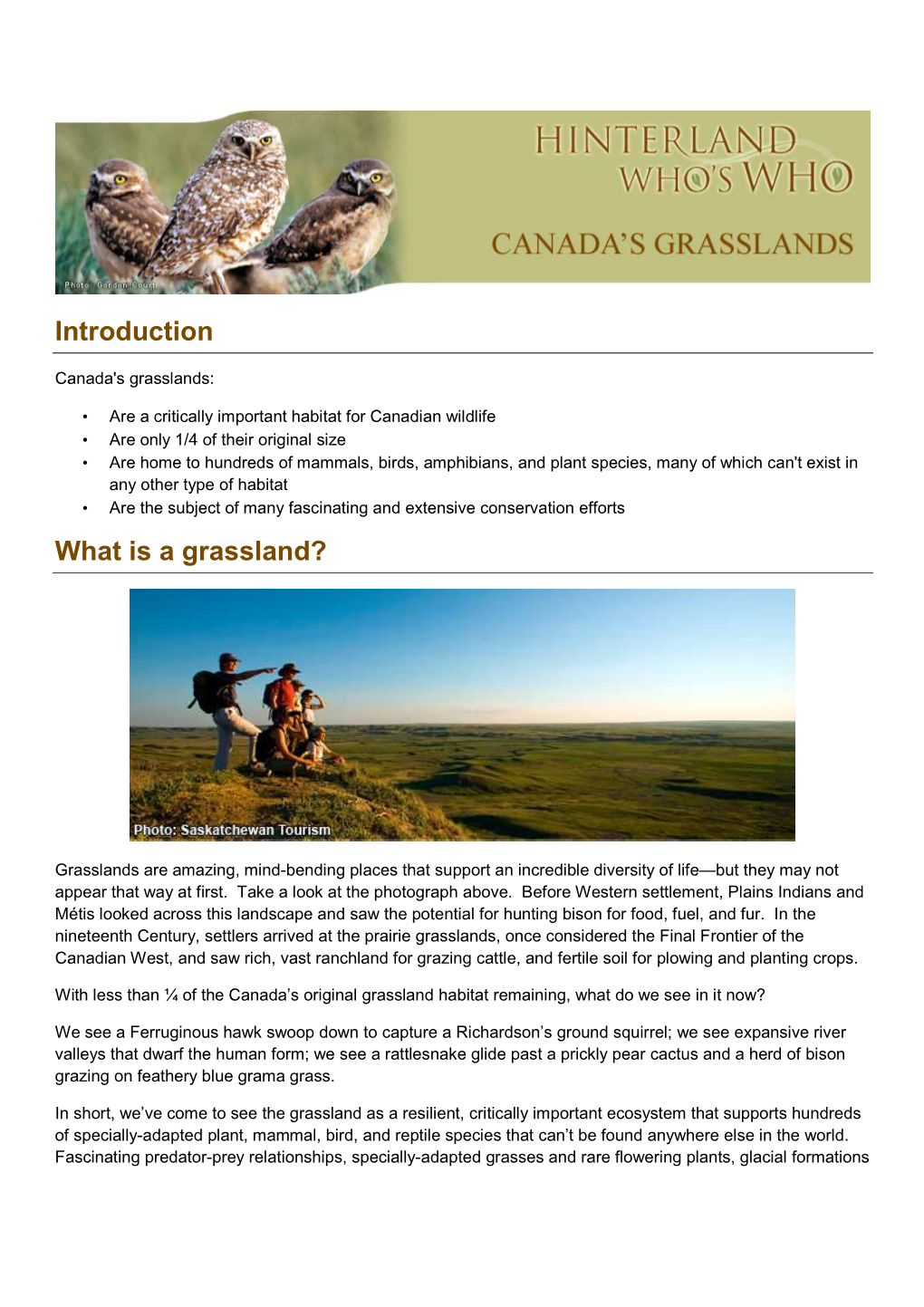 Grasslands Factsheet (PDF)