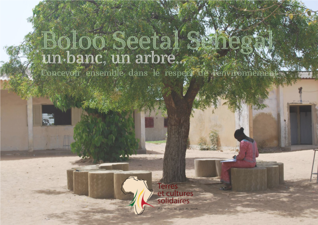 Boloo Seetal Senegal Un Banc, Un Arbre