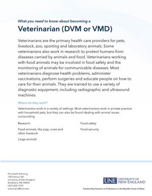 Veterinarian (DVM Or VMD)
