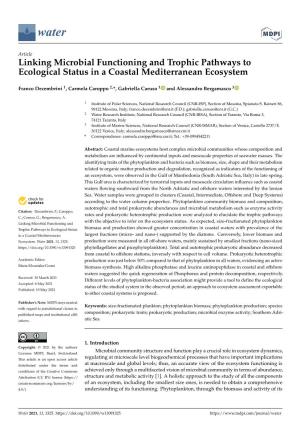Linking Microbial Functioning and Trophic Pathways to Ecological Status in a Coastal Mediterranean Ecosystem