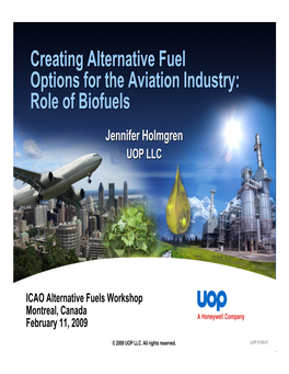 Creating Alternative Fuel Options for the Aviation Industry: Role of Biofuels
