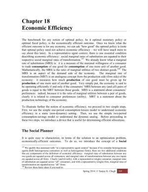 Chapter 18 Economic Efficiency