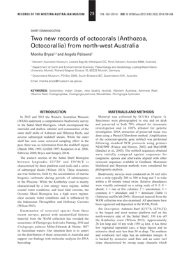 Anthozoa, Octocorallia) from North-West Australia Monika Bryce1,3 and Angelo Poliseno2