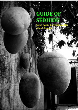 GUIDE of SÉDHIOU Some Tips to Better Know This City of Senegal