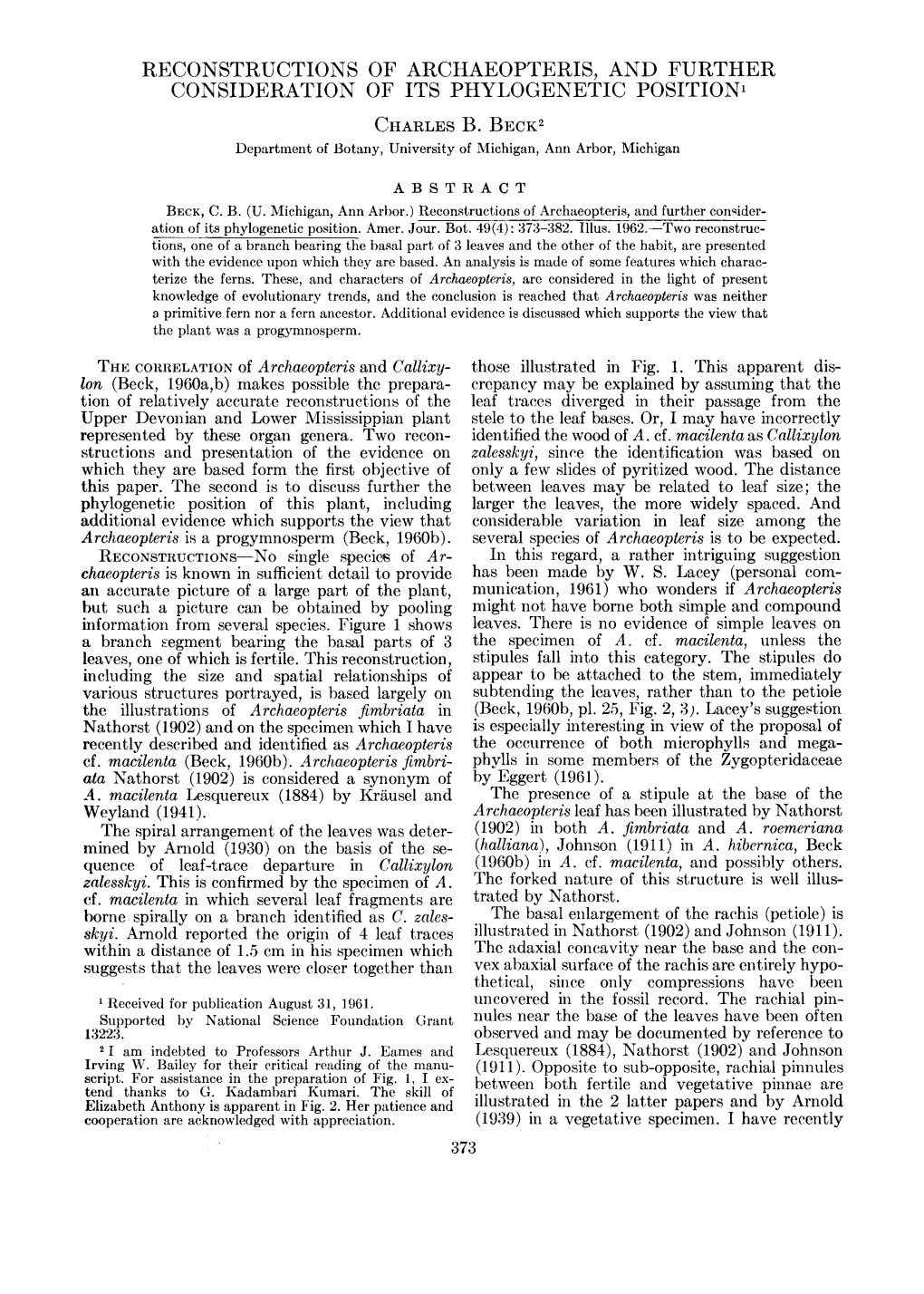 RECONSTRUCTIONS of ARCHAEOPTERIS, and FURTHER CONSIDERATION of ITS PHYLOGENETIC Positionl