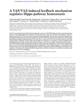 A YAP/TAZ-Induced Feedback Mechanism Regulates Hippo Pathway Homeostasis