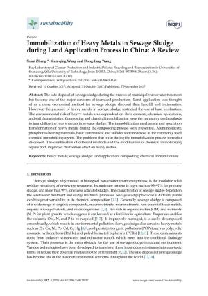 Immobilization of Heavy Metals in Sewage Sludge During Land Application Process in China: a Review