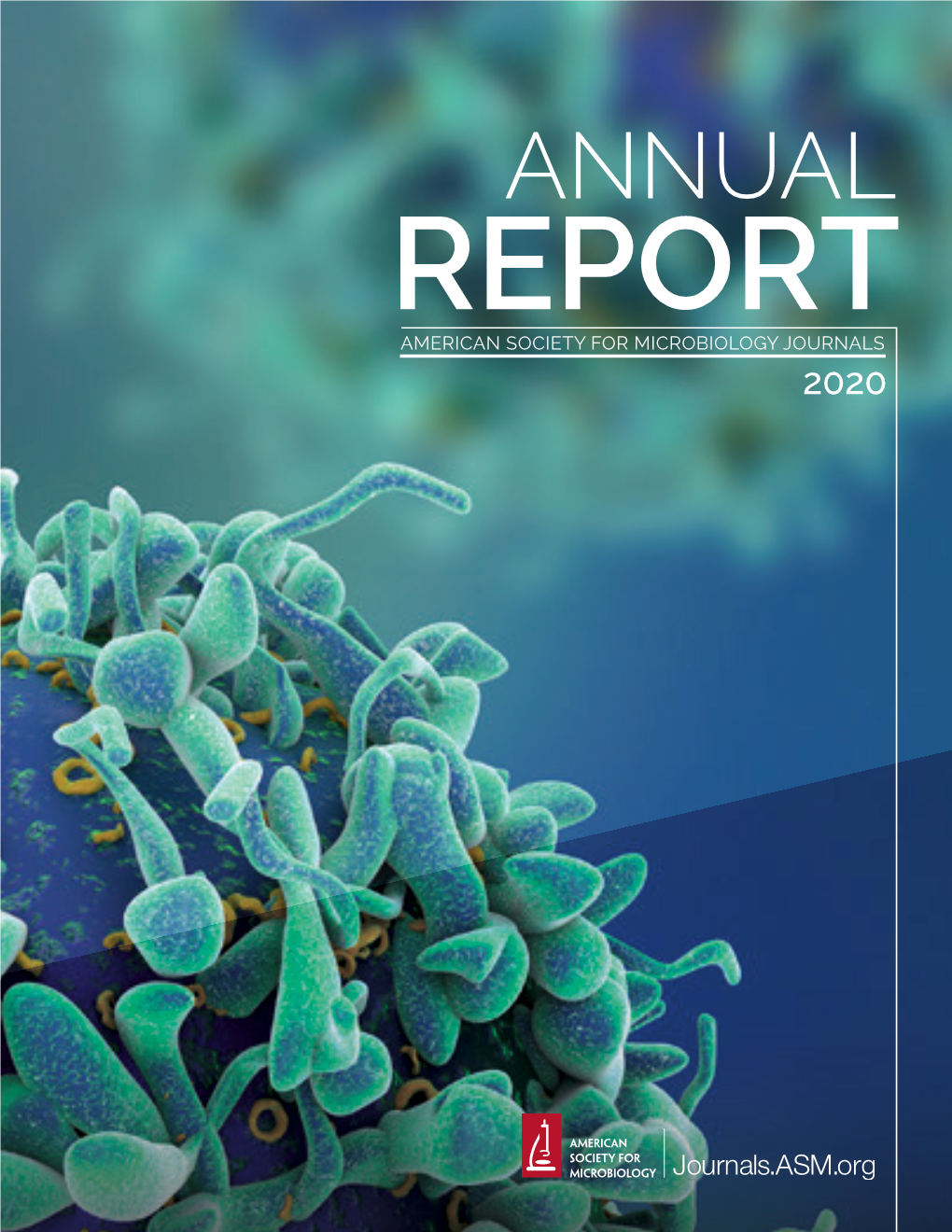 ASM Journals 2020 Annual Report