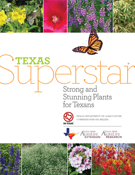 Strong and Stunning Plants for Texans