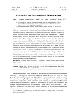 Presence of the Calcaneal Canal in Basal Glires