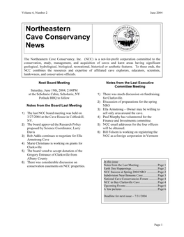 Northeastern Cave Conservancy News