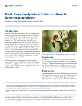 Giant Honey Bee Apis Dorsata Fabricius (Insecta: Hymenoptera: Apidae)1 Cameron J