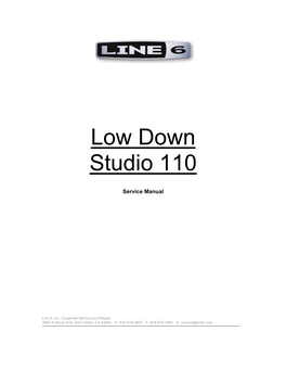Low Down Studio 110