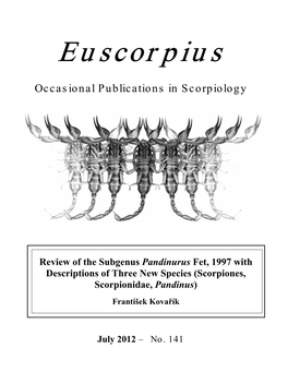 Scorpiones, Scorpionidae, Pandinus
