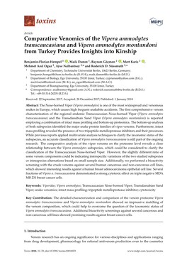 Comparative Venomics of the Vipera Ammodytes Transcaucasiana and Vipera Ammodytes Montandoni from Turkey Provides Insights Into Kinship
