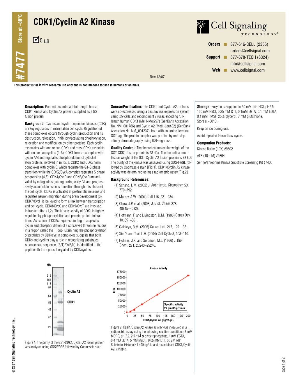 CDK1/Cyclin A2 Kinase