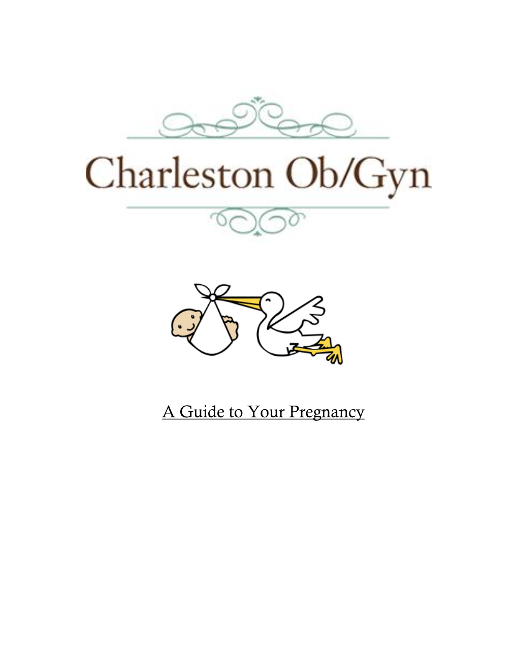 A Guide to Your Pregnancy