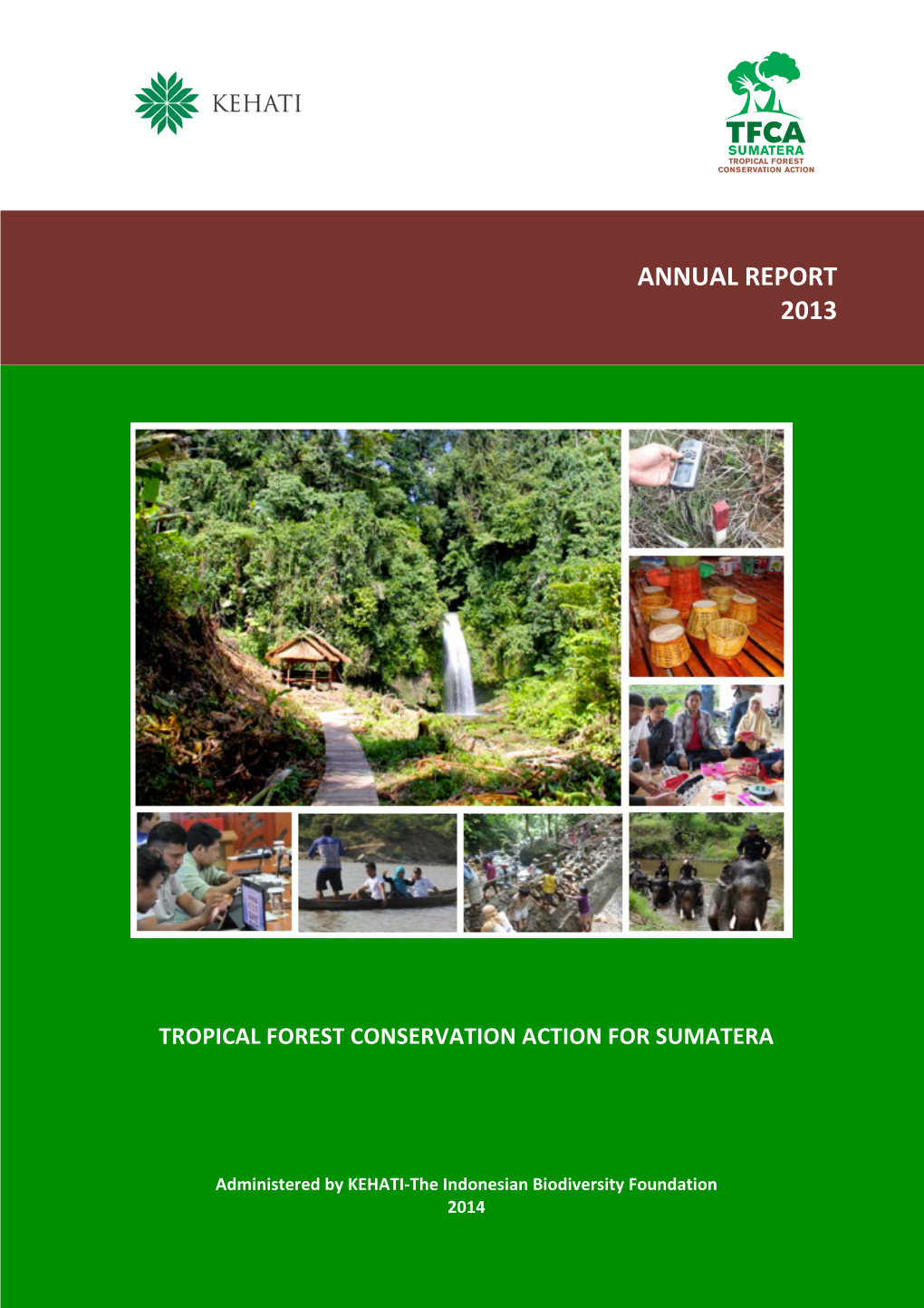 Annual Report 2013