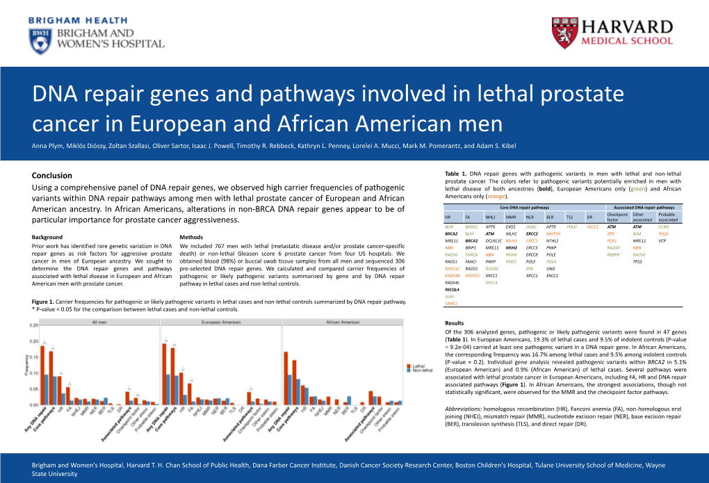 Conclusion Using a Comprehensive Panel of DNA Repair Genes, We