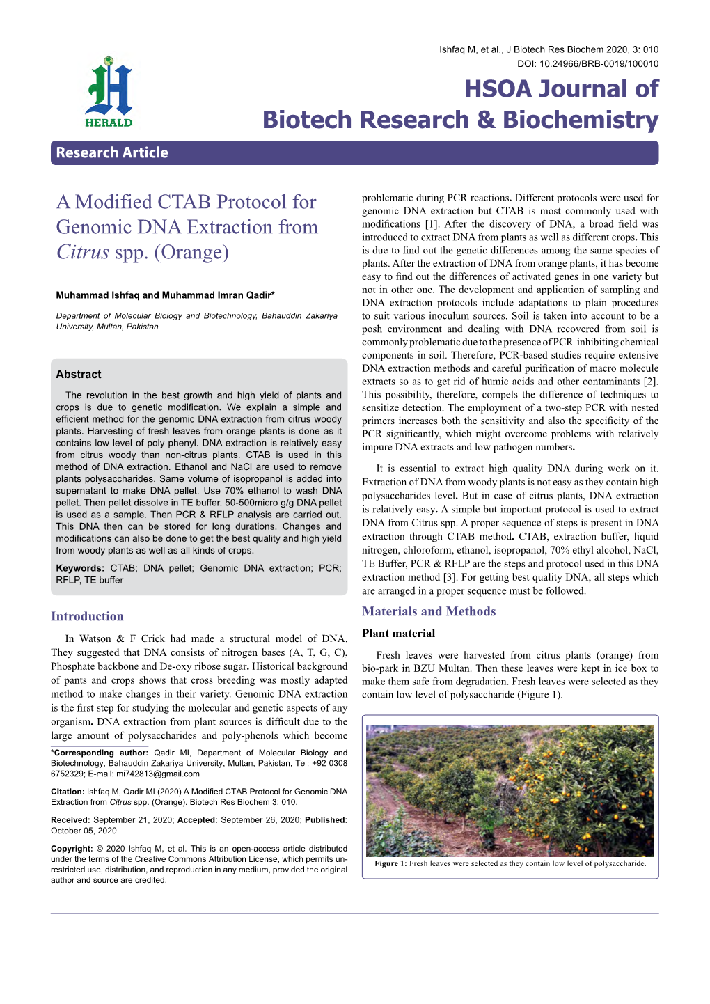 A Modified CTAB Protocol for Genomic DNA Extraction from Citrus Spp