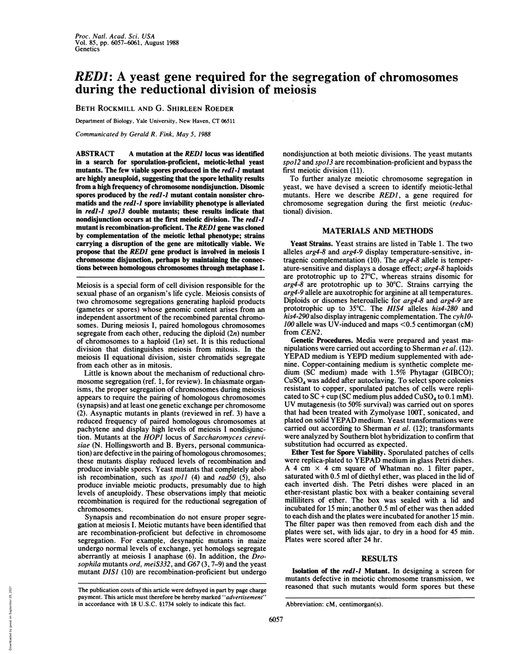 A Yeast Gene Required for the Segregation of Chromosomes During the Reductional Division of Meiosis BETH ROCKMILL and G