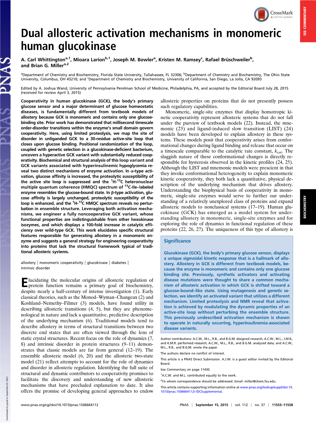 Dual Allosteric Activation Mechanisms in Monomeric Human Glucokinase