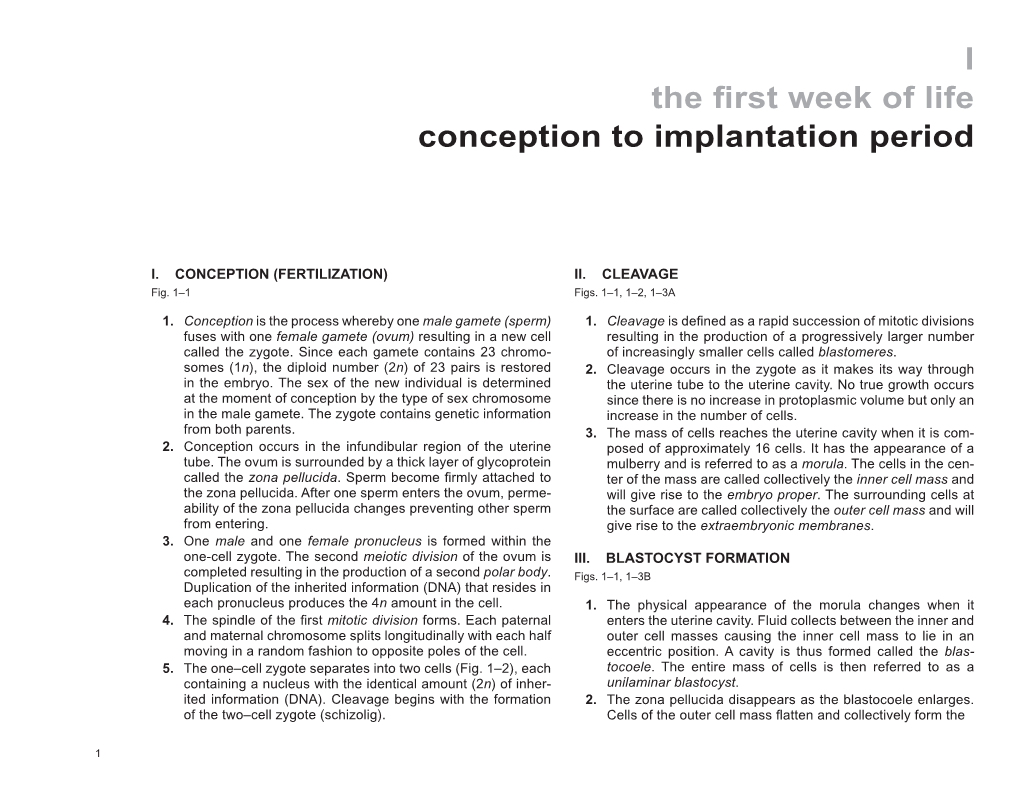 I the First Week of Life Conception to Implantation Period