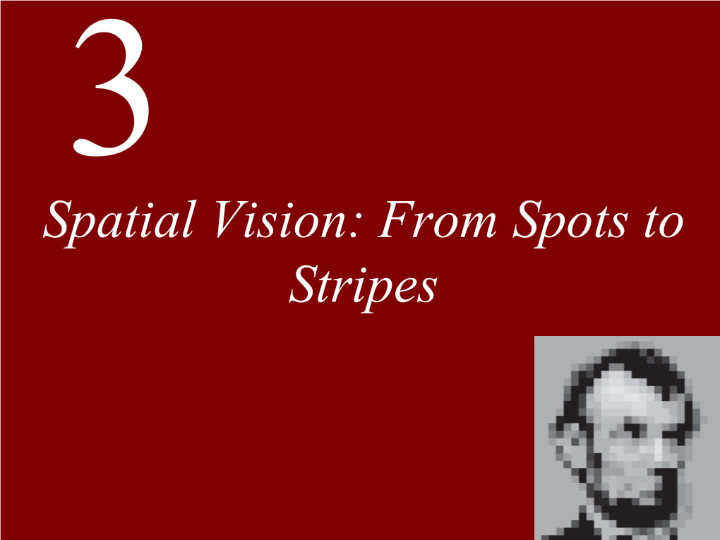 Spatial Vision: from Spots to Stripes Clickchapter to Edit 3 Spatial Master Vision: Title Style from Spots to Stripes