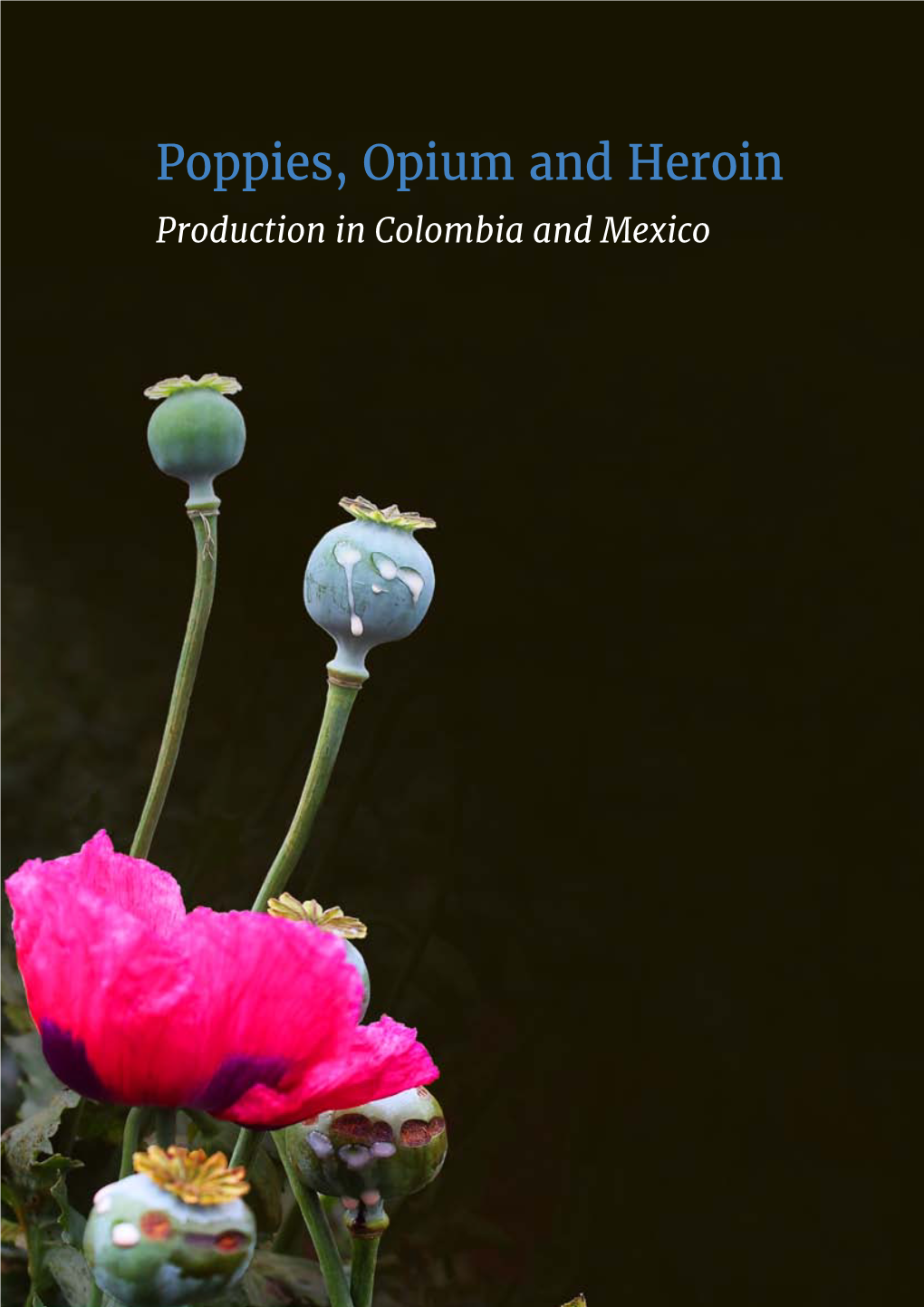 Poppies, Opium and Heroin Production in Colombia and Mexico AUTHORS: Guillermo Andrés Ospina Jorge Hernández Tinajero Martin Jelsma