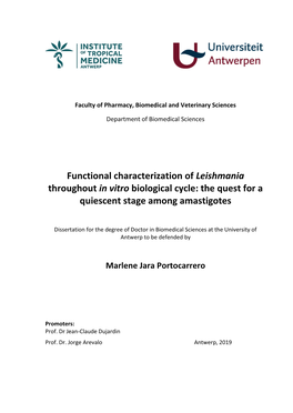 Functional Characterization of Leishmania Throughout in Vitro Biological Cycle: the Quest for a Quiescent Stage Among Amastigotes