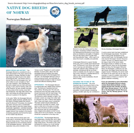 Native Dog Breeds of Norway