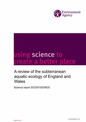 A Review of the Subterranean Aquatic Ecology of England and Wales