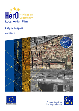 Local Action Plan City of Naples