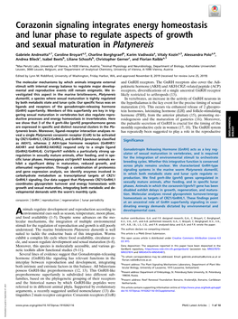 Corazonin Signaling Integrates Energy Homeostasis and Lunar Phase to Regulate Aspects of Growth and Sexual Maturation in Platynereis