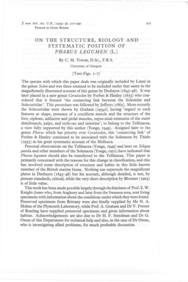 On the Structure, Biology and Systematic Position of Pharus Legumen (L.)