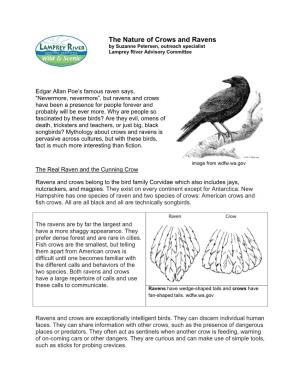 Crows and Ravens by Suzanne Petersen, Outreach Specialist Lamprey River Advisory Committee