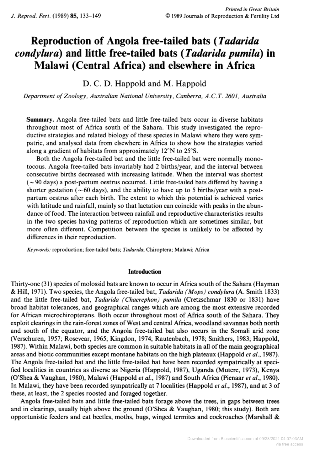 Reproduction of Angola Free-Tailed Bats (Tadarida Condylura) and Little Free-Tailed Bats (Tadarida Pumila) in Malawi (Central Africa) and Elsewhere in Africa D