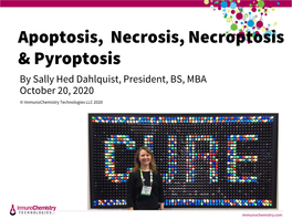 Apoptosis Vs Necrosis Cell Death